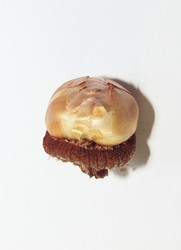 Similar image 21439336