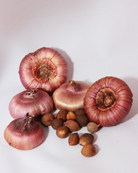 Similar image 21439337