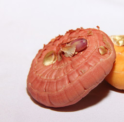 Similar image 21439338