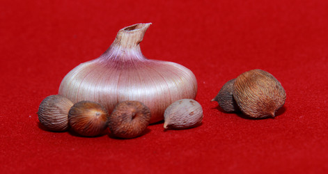 Similar image 21439340