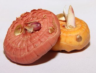 Similar image 21439342