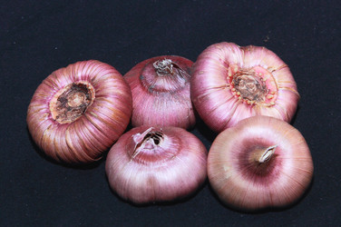 Similar image 21439344