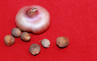 Similar image 21439345