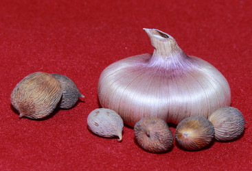 Similar image 21439348