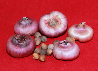 Similar image 21439349