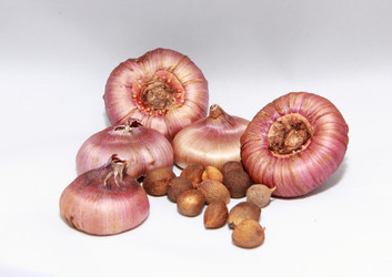 Similar image 21439351