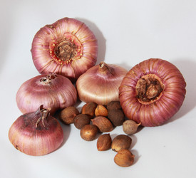 Similar image 21439352