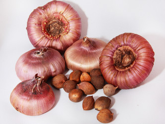 Similar image 21439353