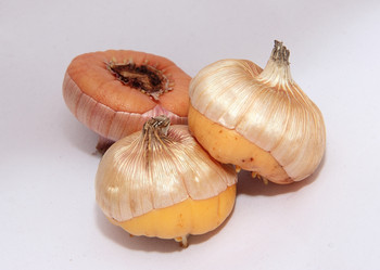 Similar image 21439355