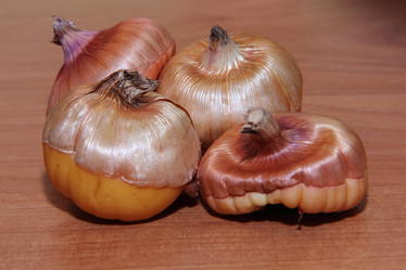 Similar image 21439356