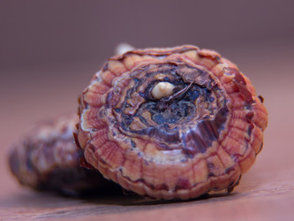 Similar image 21439357