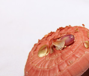 Similar image 21439361