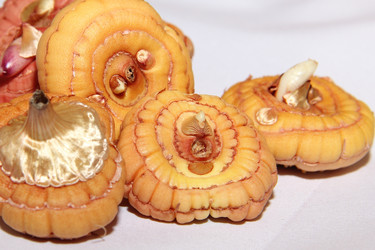 Similar image 21439363