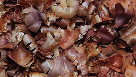 Similar image 21439366