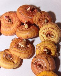 Similar image 21439370