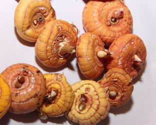 Similar image 21439371