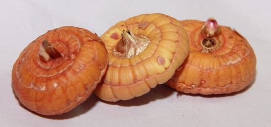 Similar image 21439372