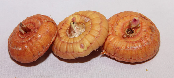 Similar image 21439373