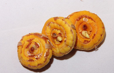 Similar image 21439375