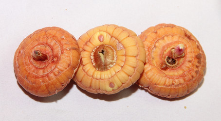 Similar image 21439376