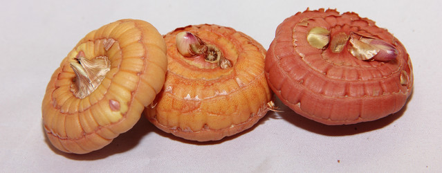 Similar image 21439378