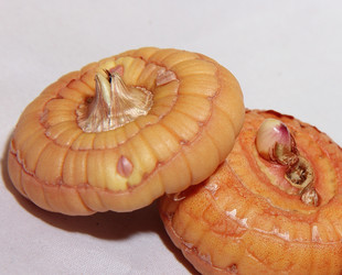 Similar image 21439379