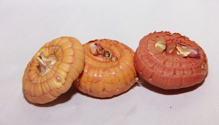 Similar image 21439380