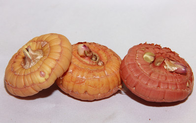 Similar image 21439381