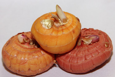 Similar image 21439382