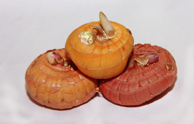 Similar image 21439383