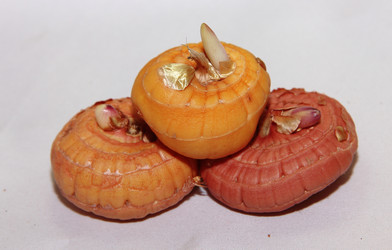 Similar image 21439385