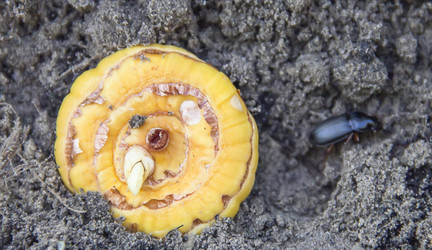 Similar image 21439386