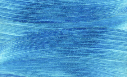 Similar image 21439388