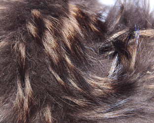 Similar image 21439402