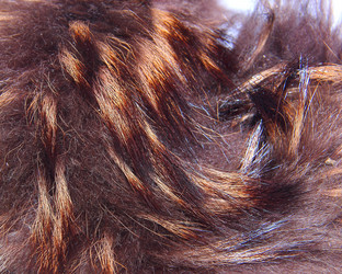 Similar image 21439403