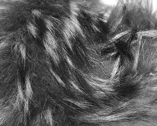 Similar image 21439404