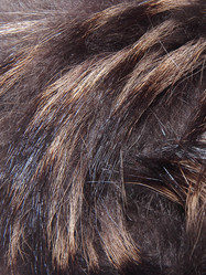 Similar image 21439405