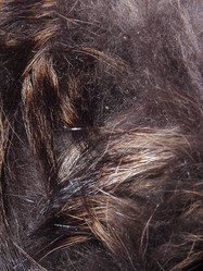 Similar image 21439407