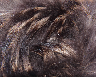 Similar image 21439408