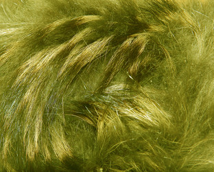 Similar image 21439409