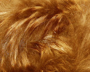 Similar image 21439410