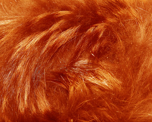 Similar image 21439411