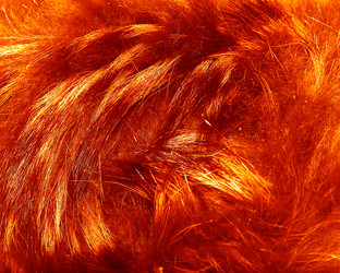 Similar image 21439412