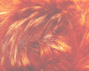 Similar image 21439413