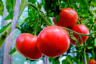 Similar image 21433768