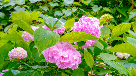 Similar image 21433773