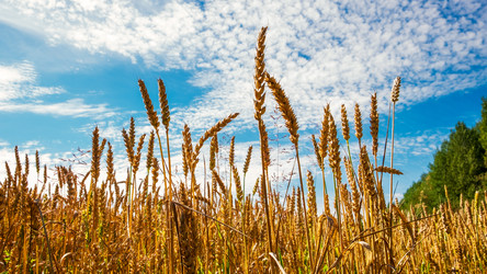 Similar image 21433774