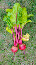 Similar image 21433775