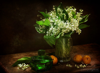 Similar image 21437248