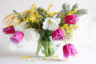 Similar image 21437249